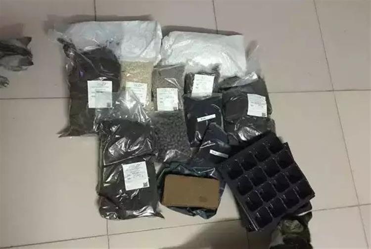 泥炭土发霉长毛,多肉土上发霉是怎么回事