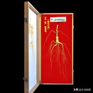 送老人什么经济实惠的礼物礼盒,过年送老人高档礼物推荐