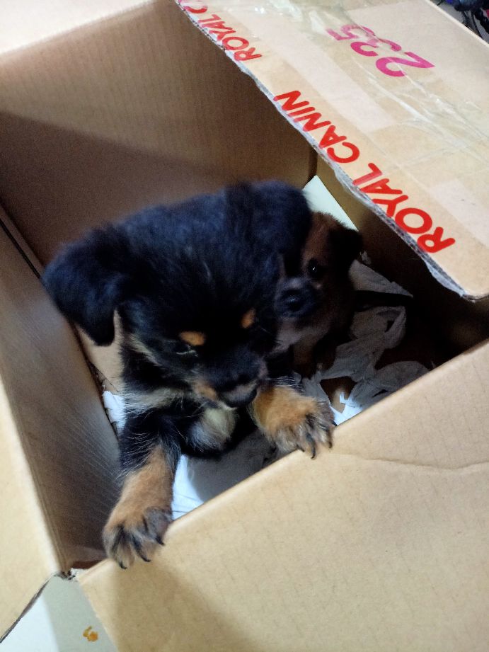 周六的独处时光,周六的时光静好