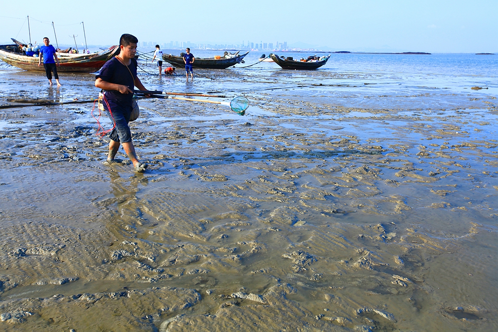 大连游玩抓螃蟹,小众海边亲子游赶海抓螃蟹