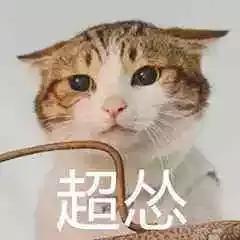 驱蚊器对猫咪的影响,驱蚊产品对猫咪有什么影响