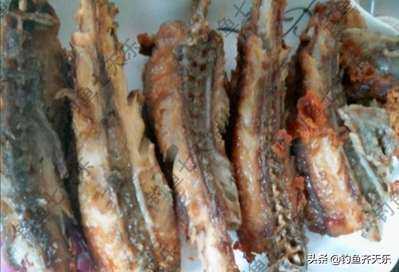 九龙水库钓鱼事件死亡,清道夫鱼在两广泛滥成灾