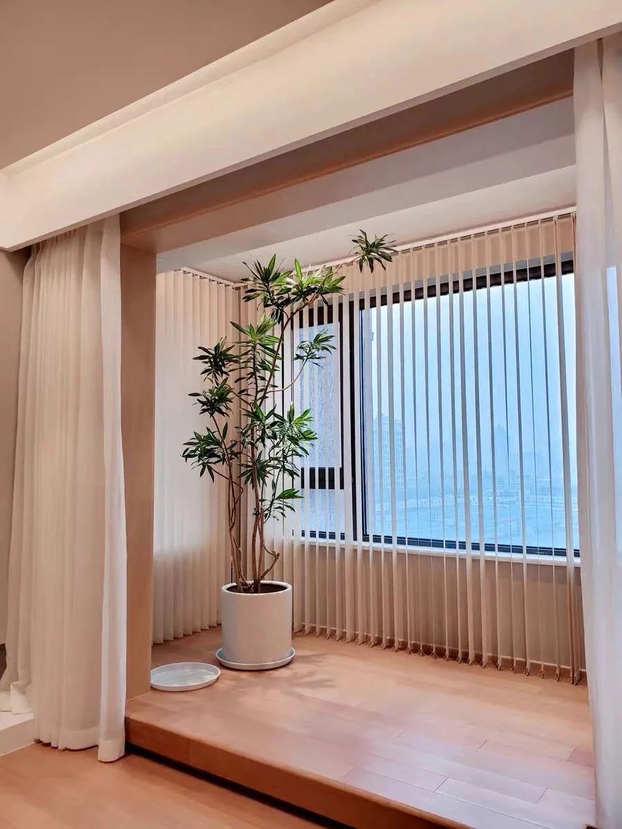 家里养花养得好代表什么,家里养花大全及寓意