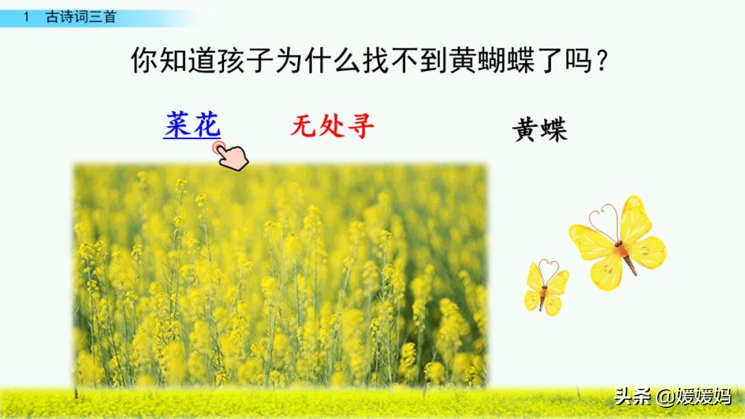 四年级下册第1课古诗三首练习,四年级下册古诗词三首的写作背景