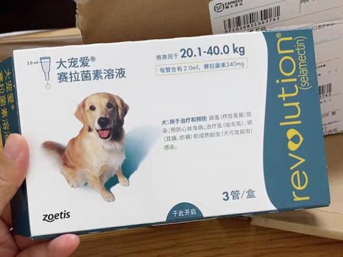 福来恩vs大宠爱,福来恩跟大宠爱哪个相对好一些