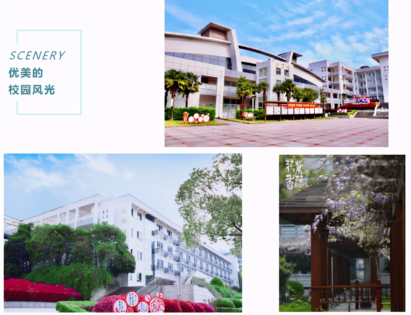 全国最牛中学校长公开教育秘诀,全国最牛中学校长