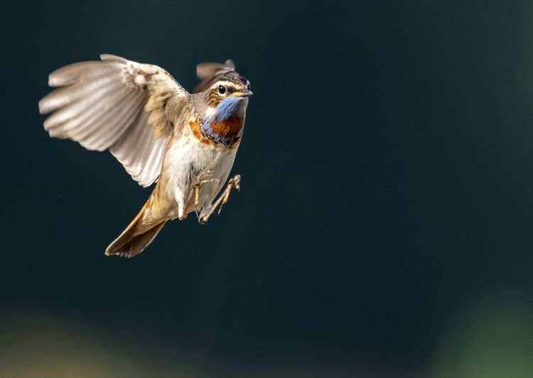 情人岛拍摄地点,情人岛航拍视频