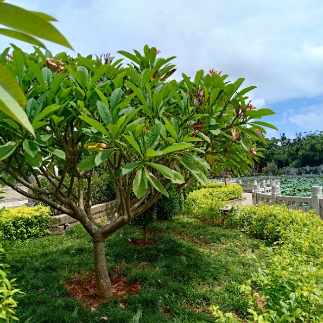 空手套白狼最新点子,创业指南白手起家有10大致富方法