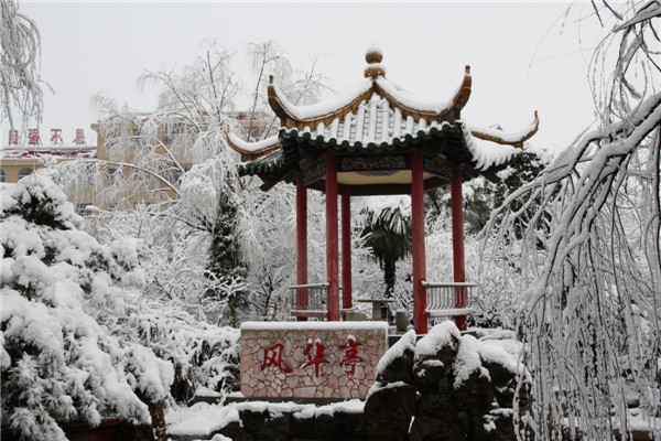 南通白蒲中学近几年高考喜报,南通白蒲中学在南通排名多少