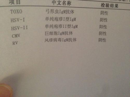 爱猫的妇女,养猫的女孩怀孕前要做什么检查