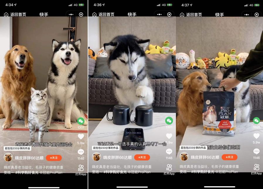 百万宠物老铁围观，快手双11联袂普瑞纳冠能，塑造宠物直播新模式
