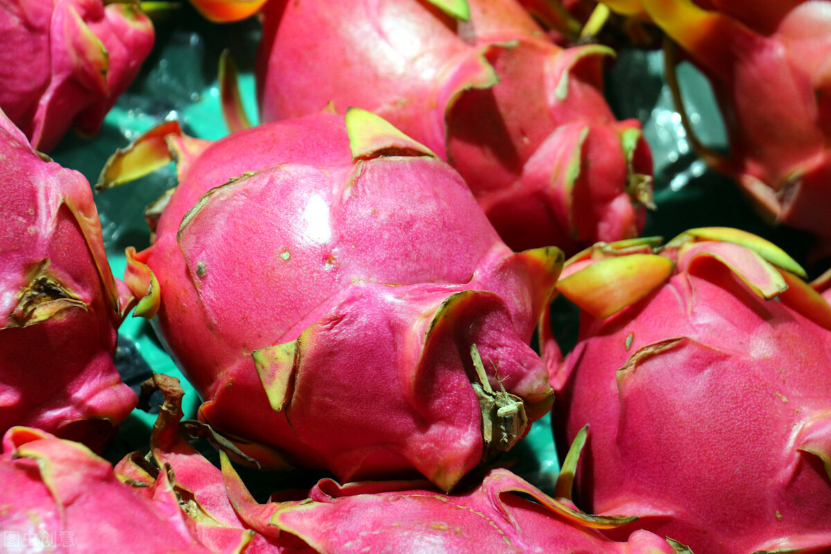 买火龙果黄心,买火龙果是买红色的还是白色的