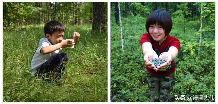 森林草原自驾游,森林亲子旅游攻略图片大全