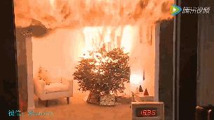 圣诞树彩灯引发火灾,圣诞树大火的后果