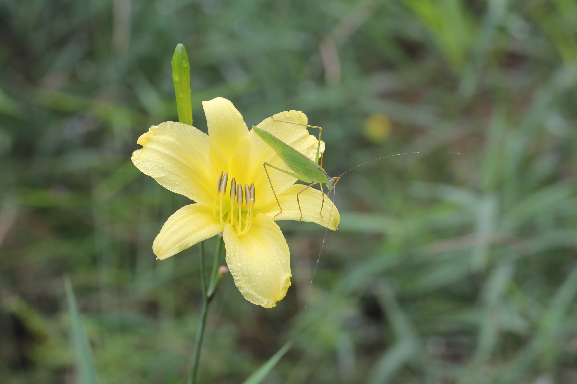 十二星座男的内心世界图片,12星座男生藏在内心里的事