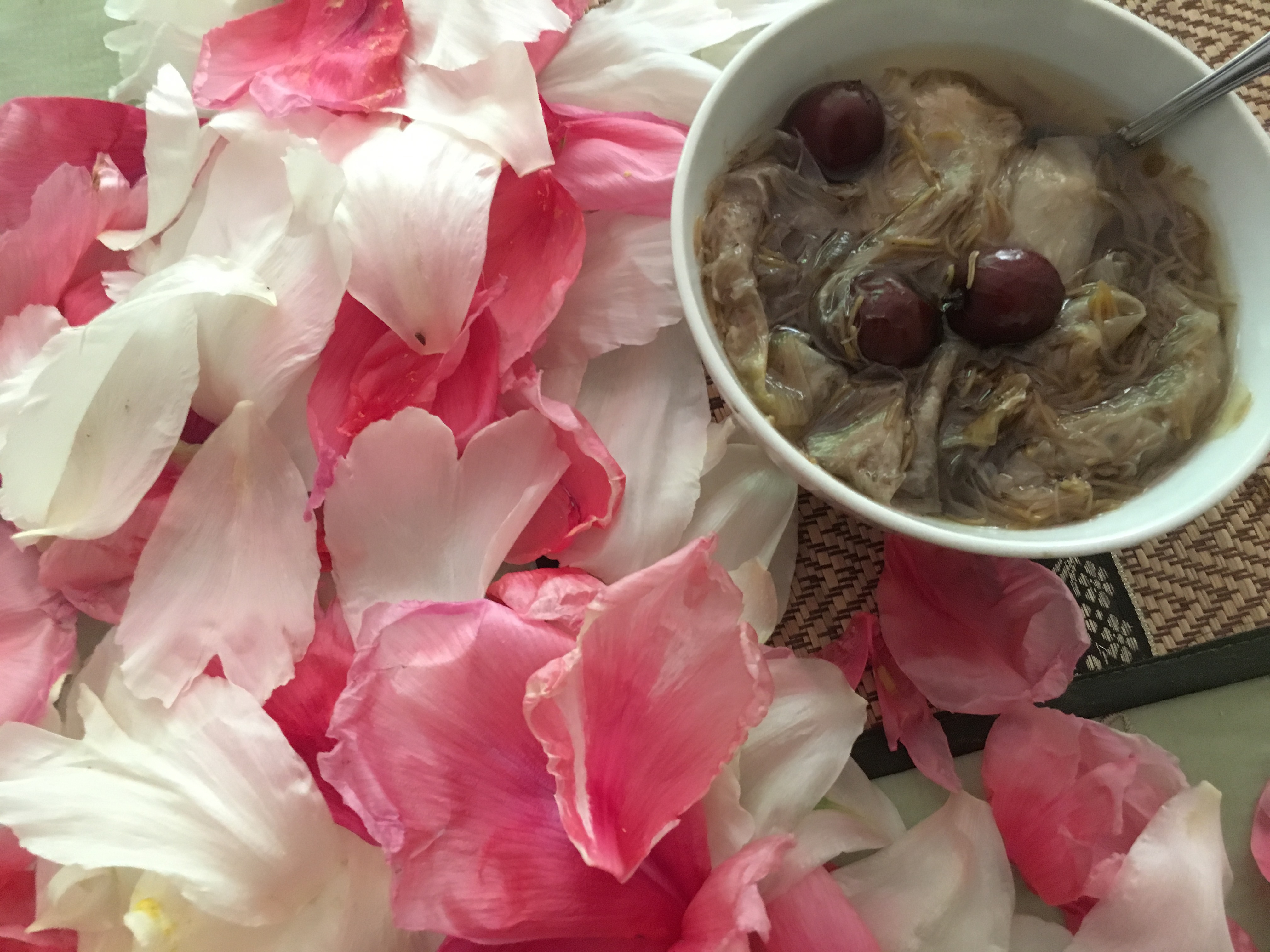 花间语|牡丹花们的老祖宗:凤丹白