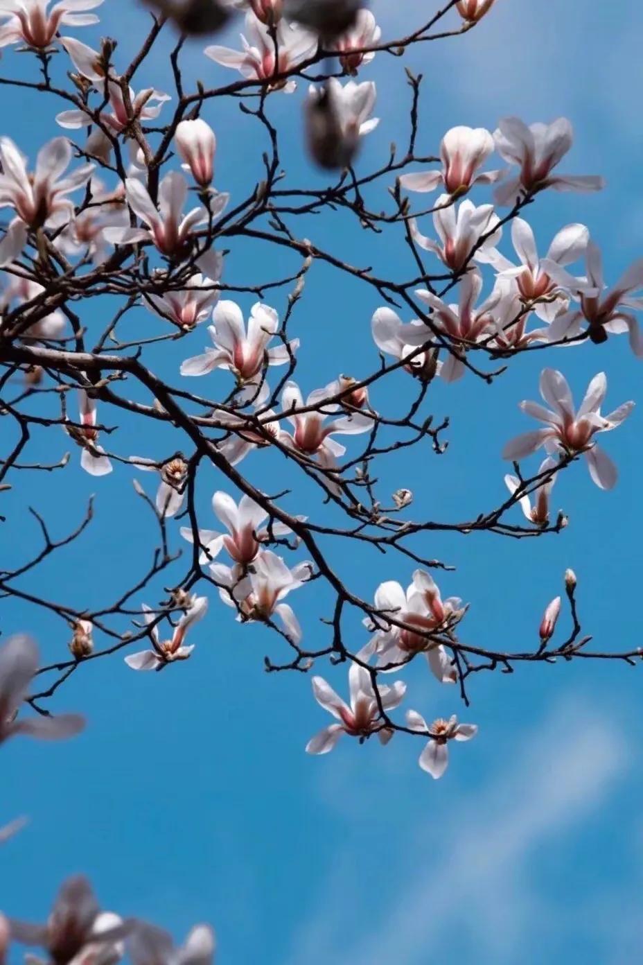 70后看待80后,70后女人发朋友圈心态