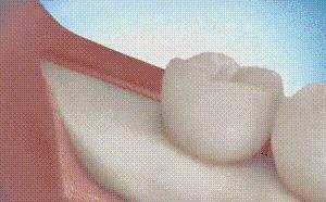 科普张姿势动图GIF：感觉自己姿势又涨了100点