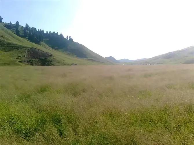 我眼中的历史完整视频,我眼中的历史是什么