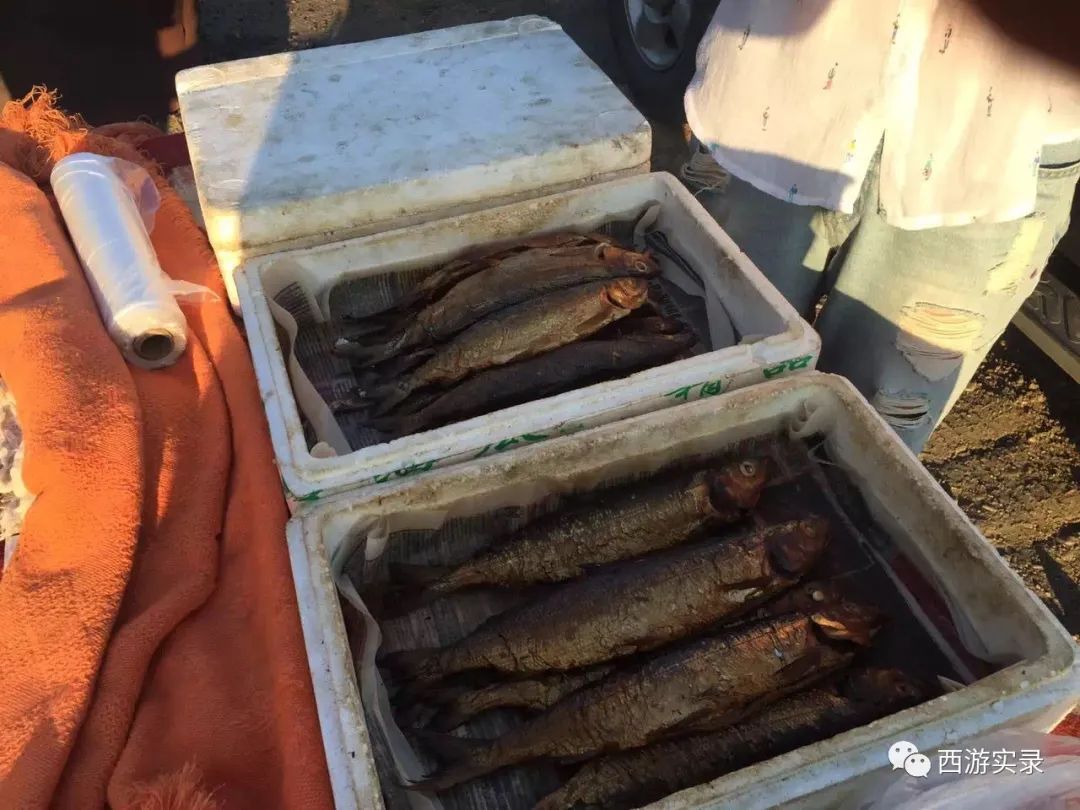 这女孩看到俄罗斯帅哥搭车，逼我停车，否则跳车