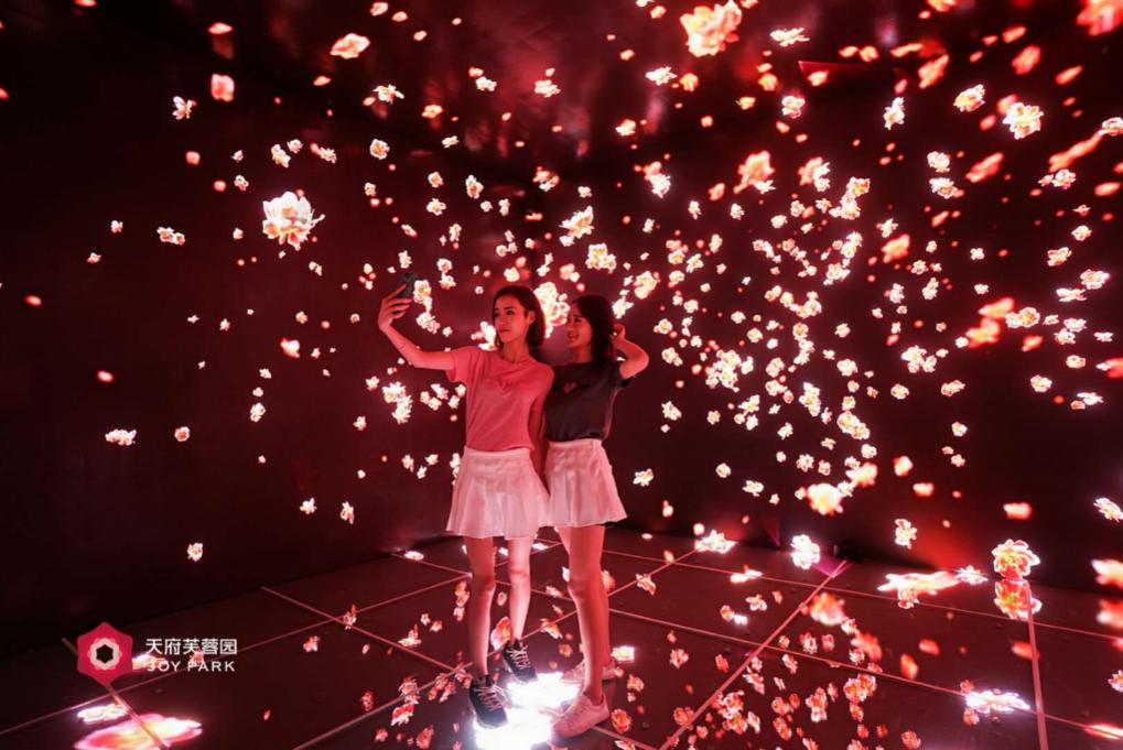 2019年是你最好的一年,2019你该努力了