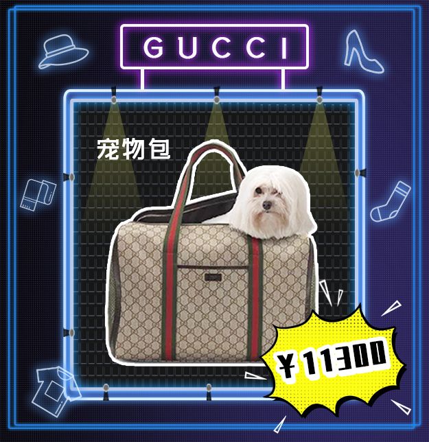 看到它3万块的项圈后,月薪3000的我瑟瑟发抖……