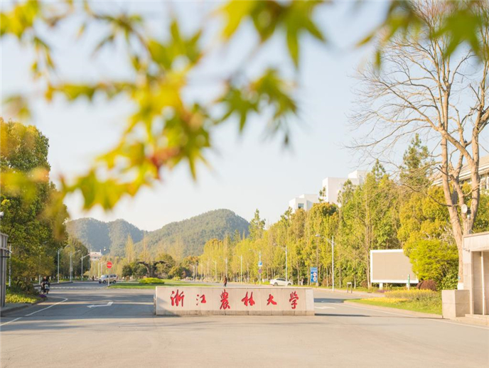 河南省有哪些外省大学,河南高考报考学校怎么选