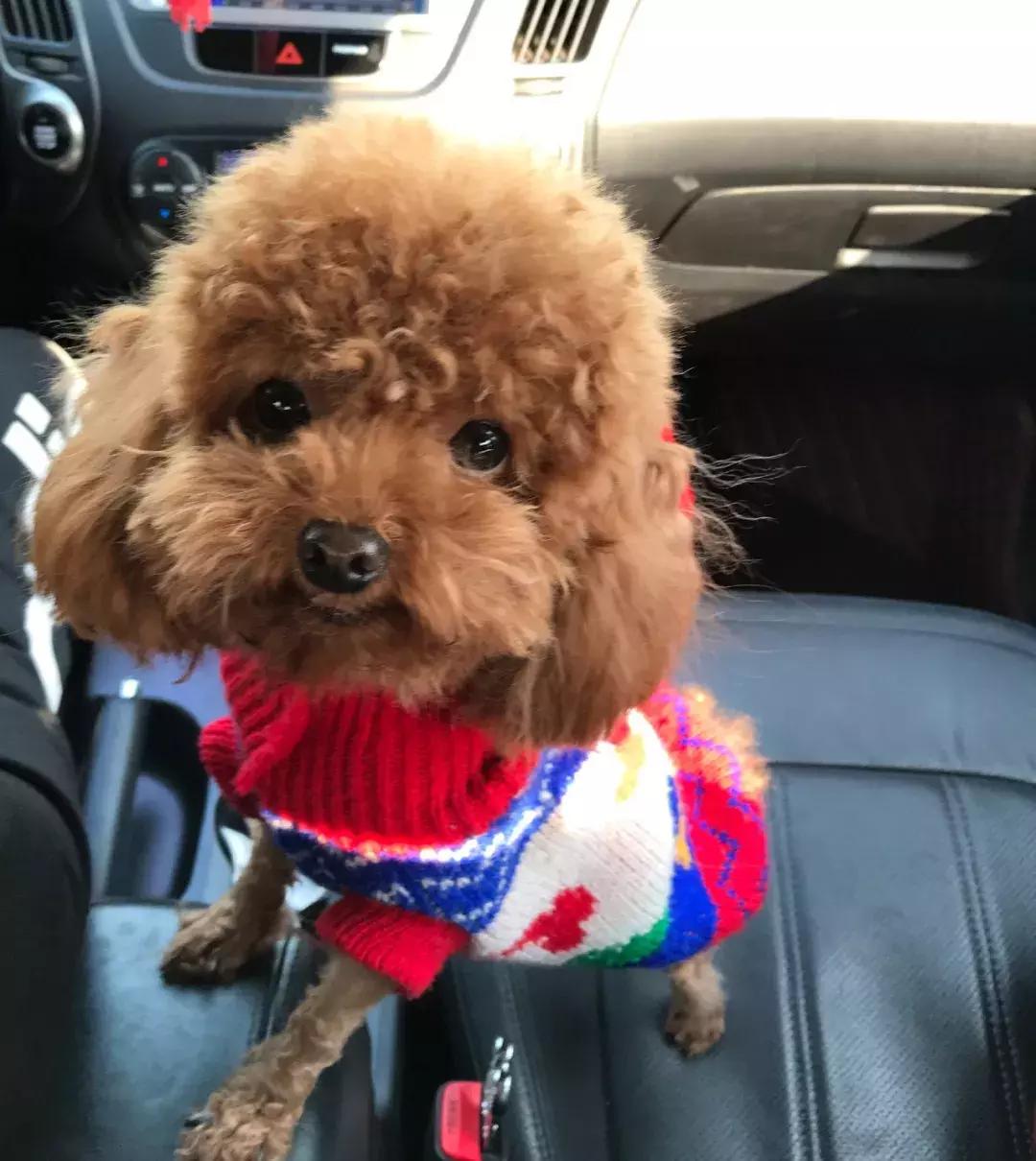 暇步士撤店,暇步士撤柜男装