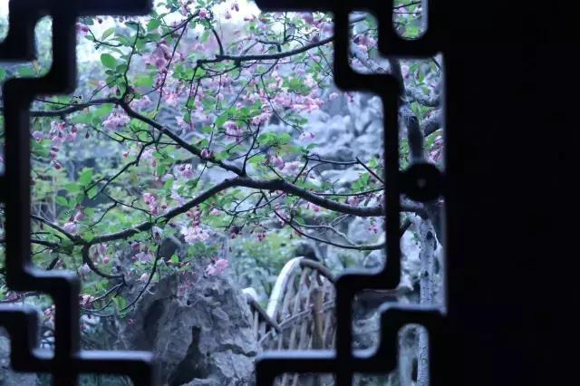 中国园林的诗情画意之美,虽由人作宛自天开的造园理念