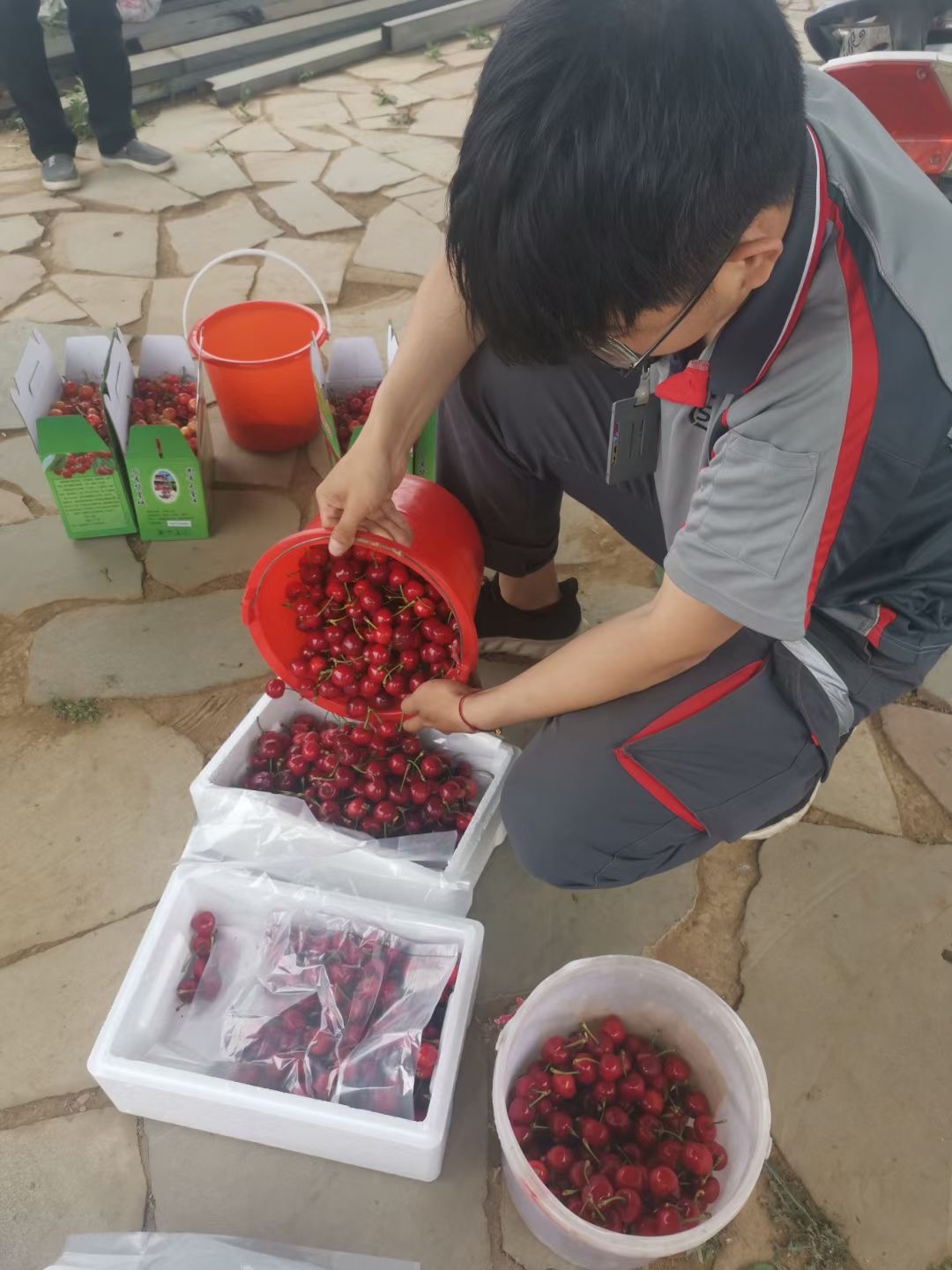 助力乡村振兴助推肉牛产业发展,顺丰快递推动乡村振兴