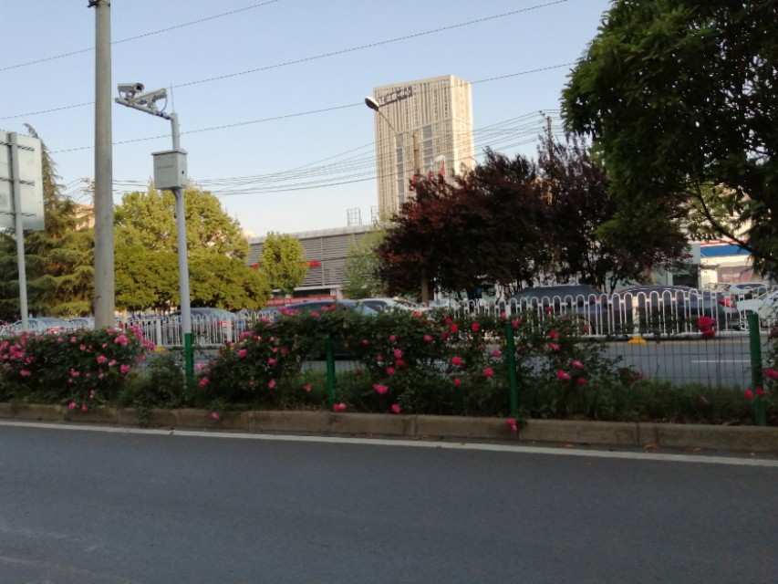 猜谜语幽默句子,猜球的搞笑话语