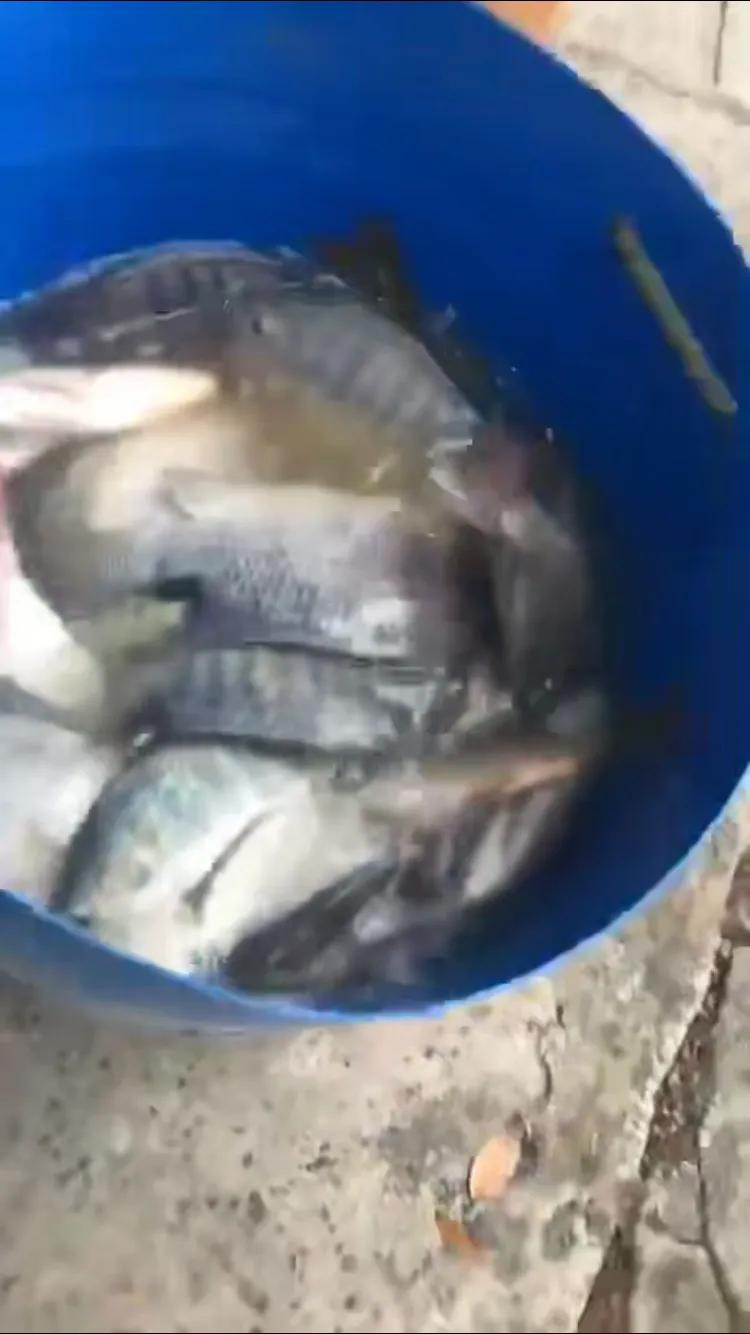 钓鱼防脱技巧 (自测钓鱼技巧和方法)