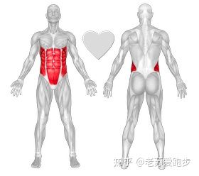 康复训练膝盖弯曲内侧疼,外侧膝盖疼痛康复训练
