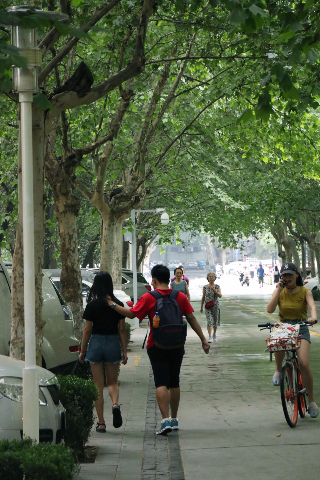 西安最被低估的大学西安工业大学,西安建筑科技大学实力怎么样