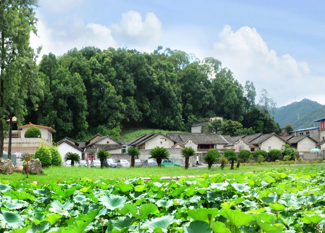 梅州游玩景点一日游免费,梅州免费旅游景点大全介绍