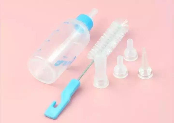 新手如何照顾小奶猫,怎么样照顾一个月左右大的小奶猫