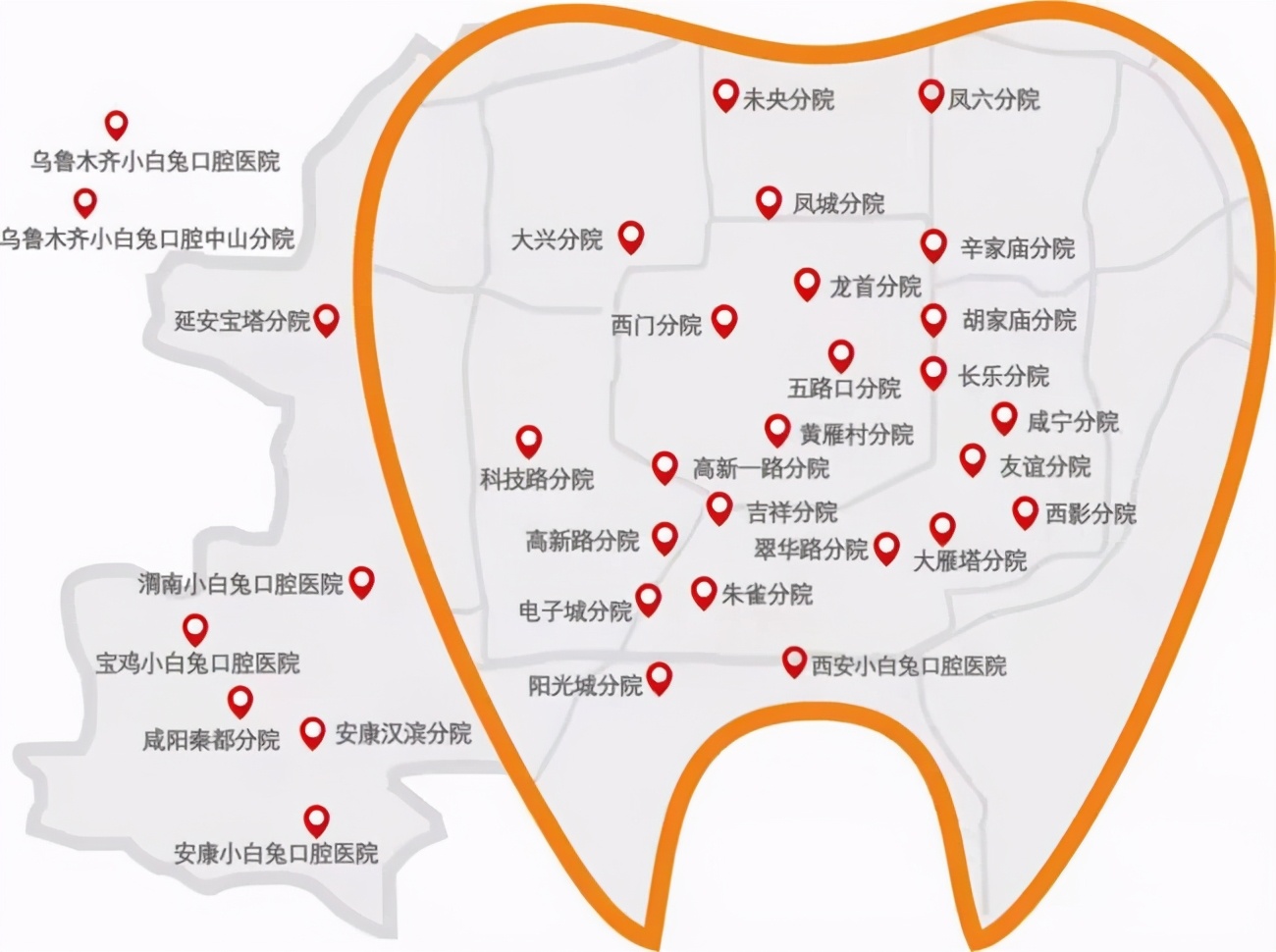 牙科利润有多高？小白兔告诉你，老板王鸿应夫妇身价暴涨