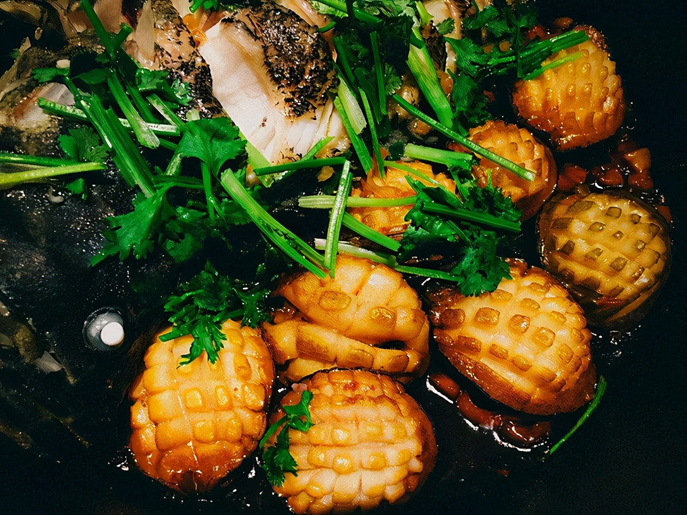 秦皇岛户外探险,秦皇岛旅游攻略最新版