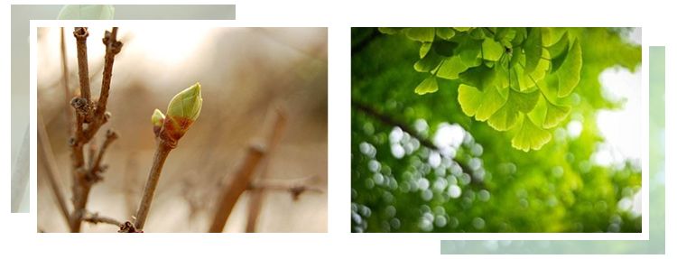 绿色怎么穿更优雅,第一次发现绿色可以穿得这么迷人