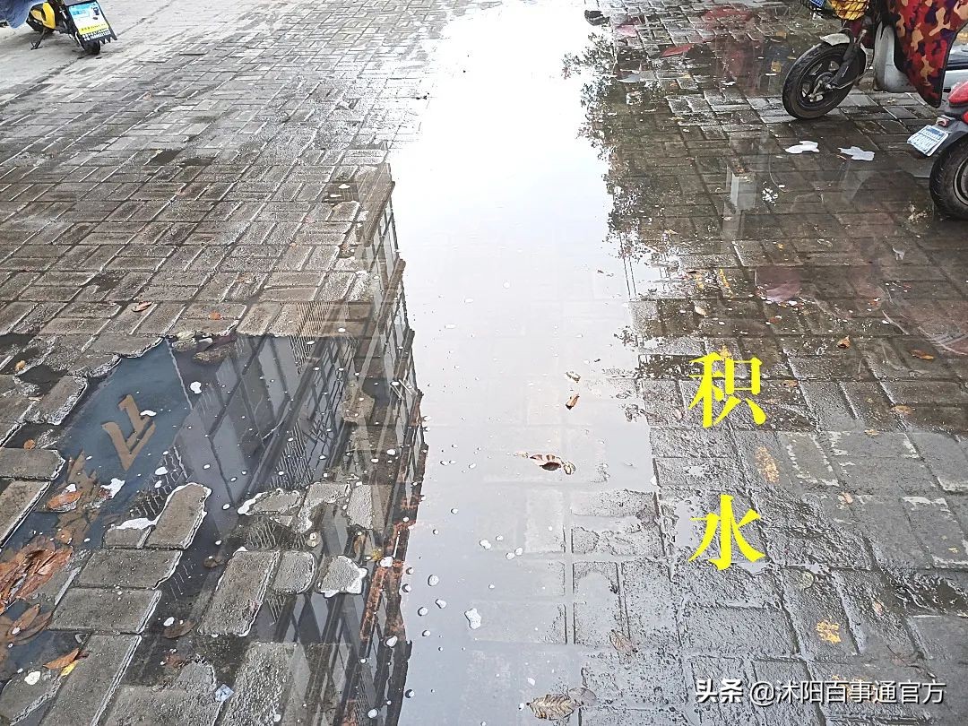 实验小学可怕案件,沭阳实验中学最近发生的事情