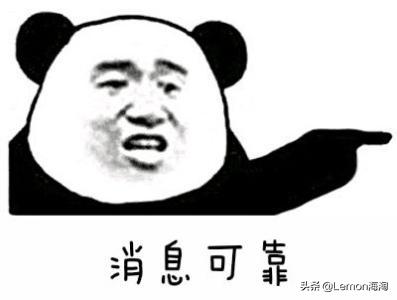 彪马活动一览,彪马系列活动