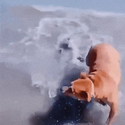 主人在背后吓唬狗子,主人在后面吓狗狗