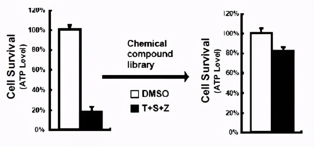跟大牛学习,跟大牛学什么技术好