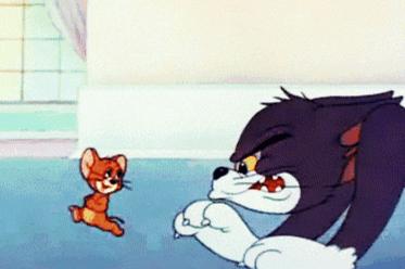 养猫就是抓老鼠吗,还有多少人养猫是为了抓老鼠的