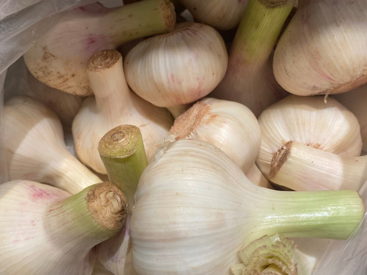 奶奶教紫皮蒜腌法,奶奶教我腌辣椒