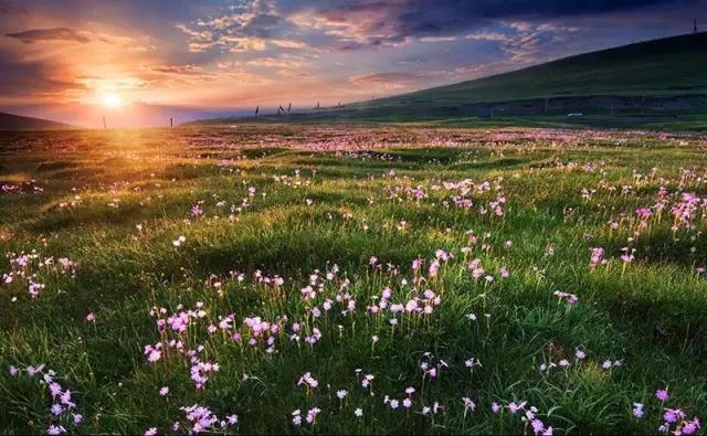 在公路旁随手一拍都是美景,中国有一条公路每一公里都是美景