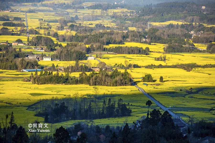 和顺最好的侨乡,和顺华侨