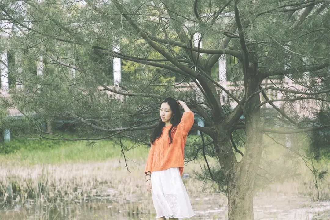 去深圳免费游玩的10个地方,深圳免费游玩景点推荐