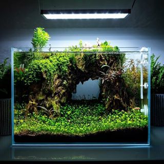 过滤的方法和注意事项,老生常谈的说说