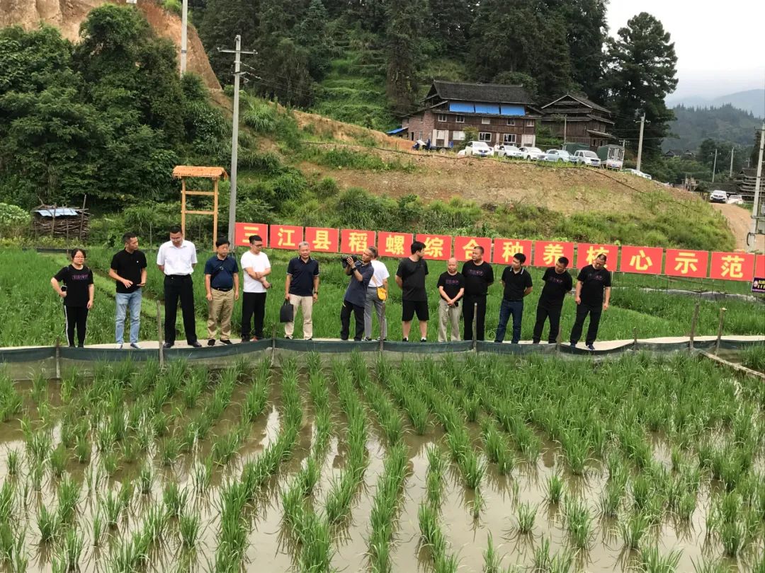 生态渔业创新新模式,广西水产养殖技术推广资讯平台